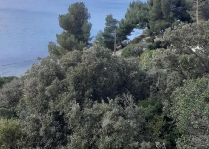 Senka - Oliver Martinšćica