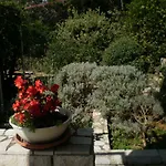Senka - Oliver